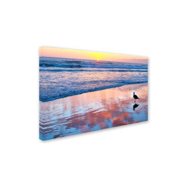 Lori Hutchison 'Venice Beach Sunset' Canvas Art,12x19